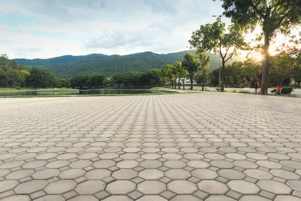 Best Residential Driveway Paver Services  in Madison, NC